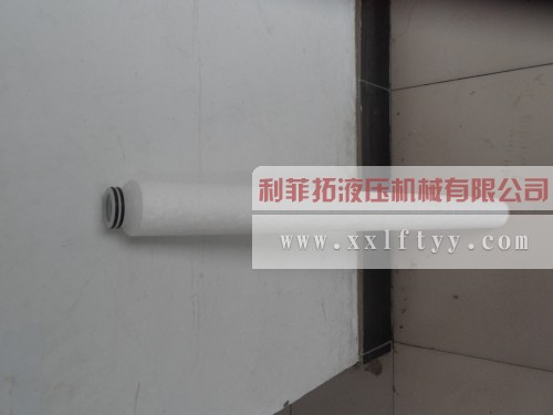 CLR頗爾濾芯