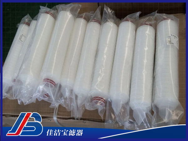 9.75寸大胖折疊濾芯